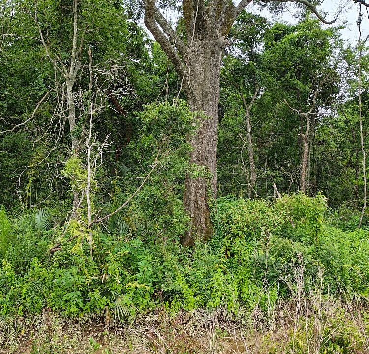 1st image of 2 Coulee Swamp Rd #134