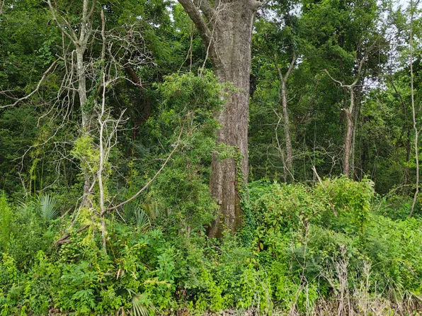 2 Coulee Swamp Rd #134, Collinston, LA 71229