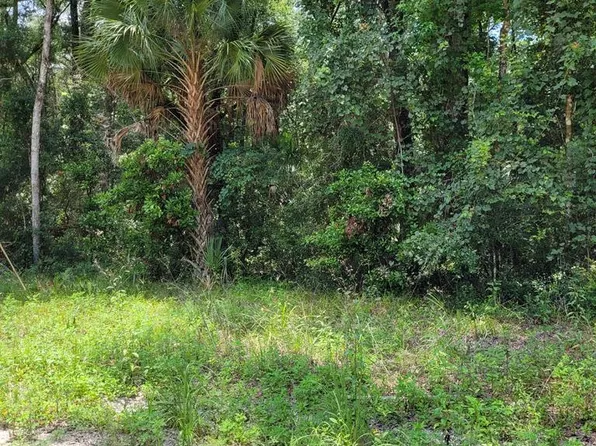 TBD NE 293rd Ave, Old Town, FL 32680