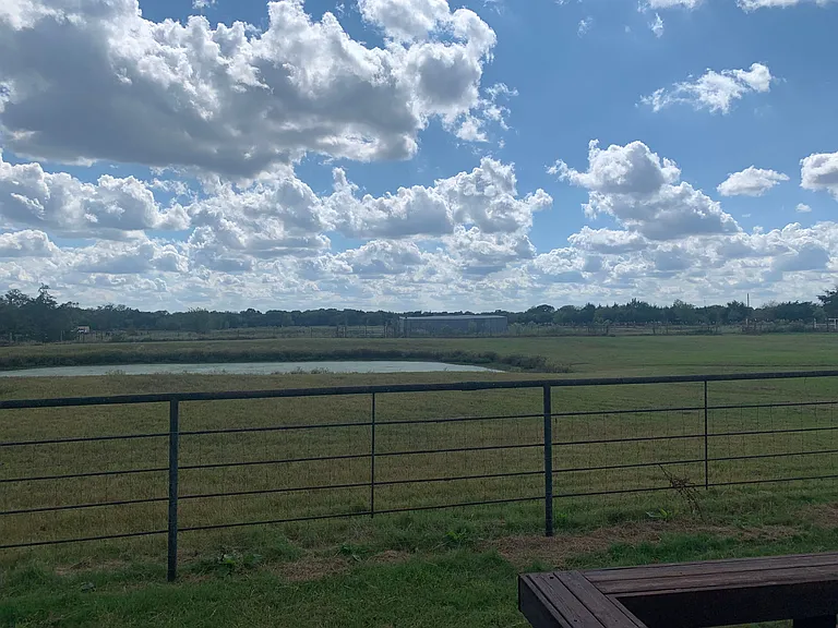 2339 W FM 898 — Photo 44