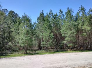 1124 Winding Pond Rd, Manning, SC 29102