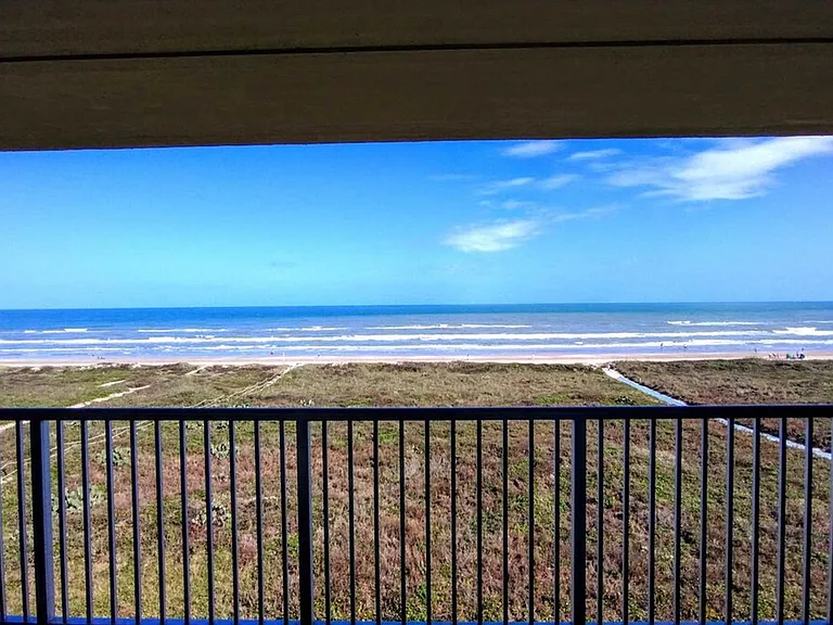 Window View