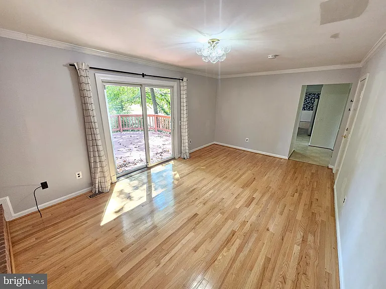 11321 Classical Ln — Photo 21