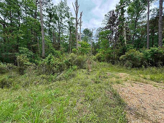 3rd image of 239238 Arborcrest Dr