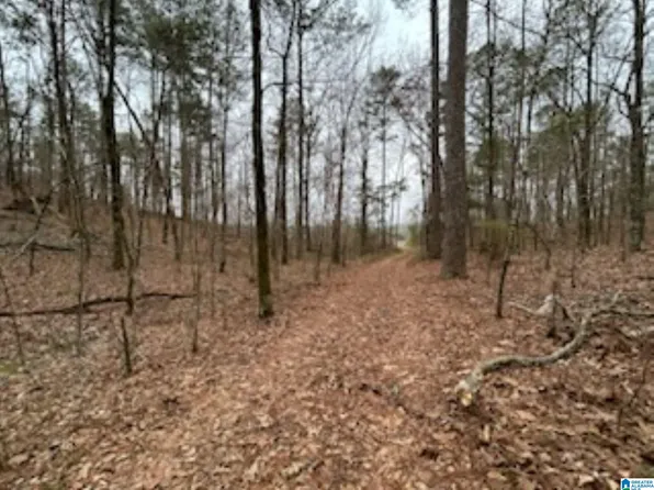 0 Highway 55 Unit 0, Wilsonville, AL 35186