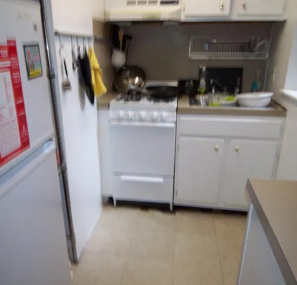 58 Westland Ave #16 — Photo 6