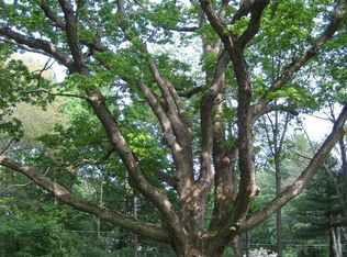 55 Orchard St, Medfield, MA 02052