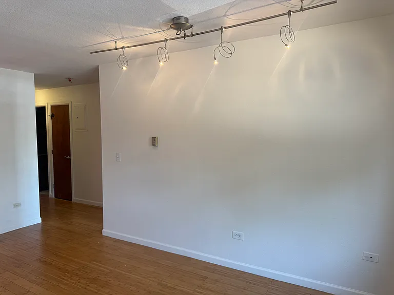 1231 N Downing St #203 — Photo 8