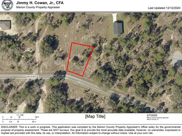 Malauka Pl #7, Ocklawaha, FL 32179