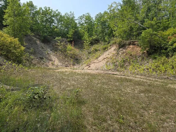 Lake May Rd, Hawks, MI 49743