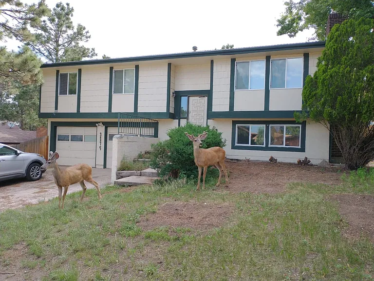 3275 Squaw Valley Dr — Photo 1