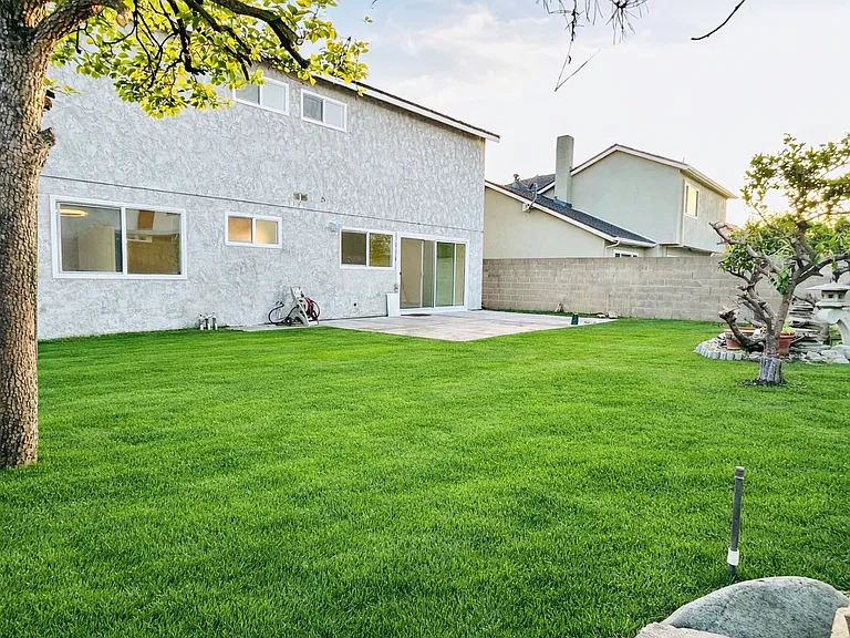 Large backyard with several fruit trees like persimmon, avocado and citrus trees