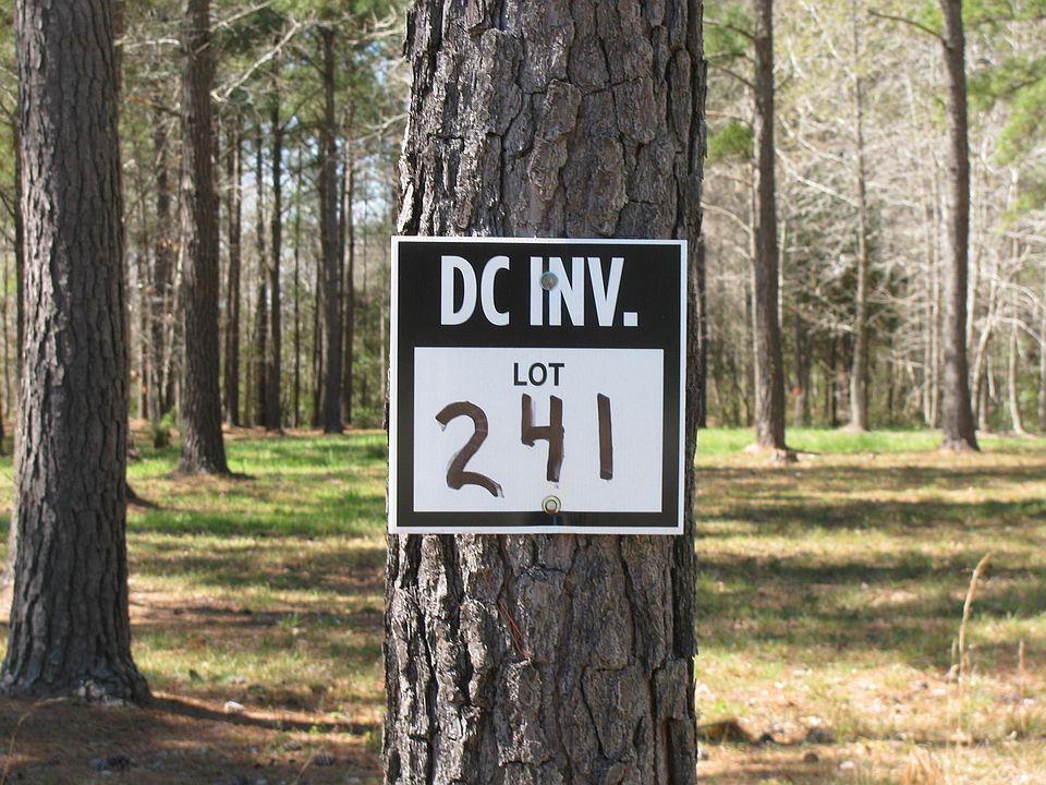Lot 241