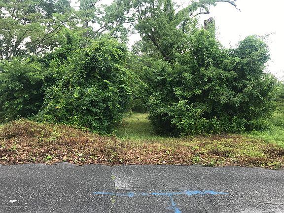 4th image of 427 Buermann Ave