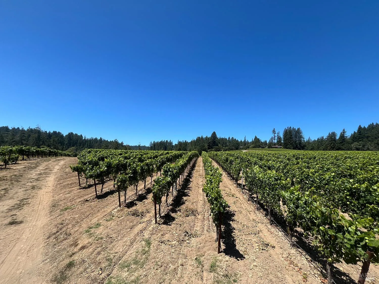 11480 Graton Road - Photo 7