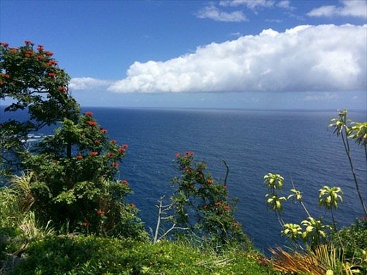 1st image of Old Mamalahoa Hwy Lot 4-A