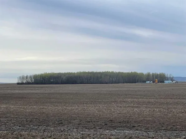 Receivership Sale Hwy #695, West Rural Northern Lights County Of, AB T0H 2M0