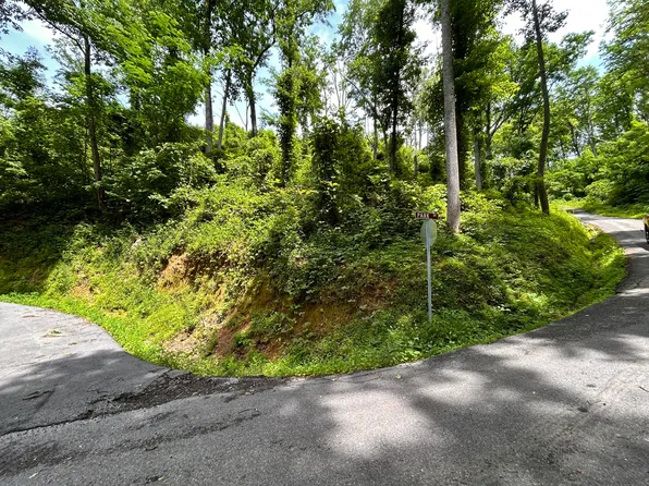 LOT-22A Davenport Rd, Gatlinburg, TN 37738