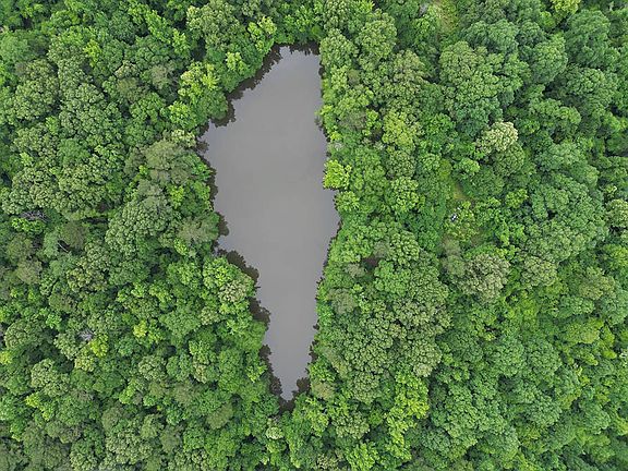 3rd image of 214 Gessler Rd