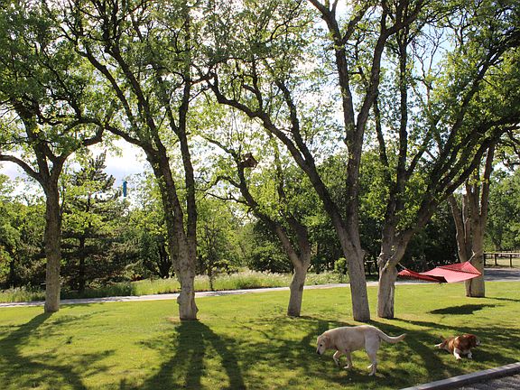 Front Lawn (Well Water!)
