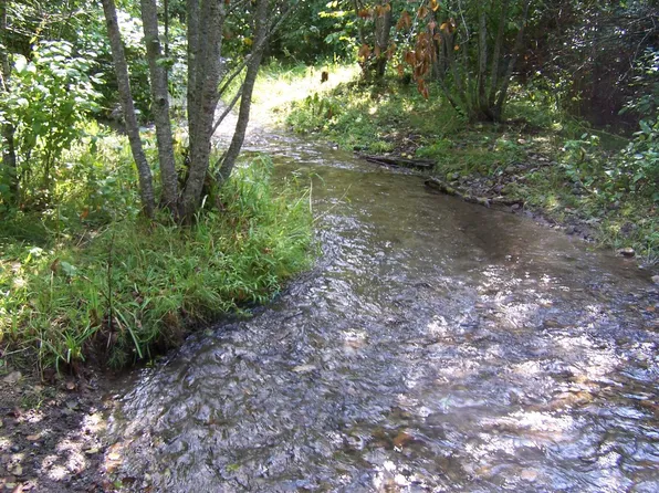 35XX Northport Flat Creek Rd, Colville, WA 99114