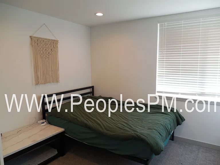 Primary Bedroom with walk through closet and attached bathroom.