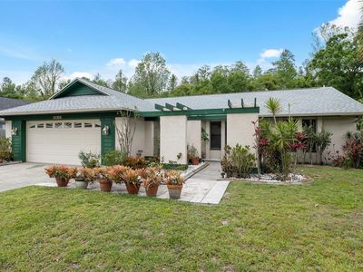 15306 Winterwind Dr, Tampa, FL, 33624