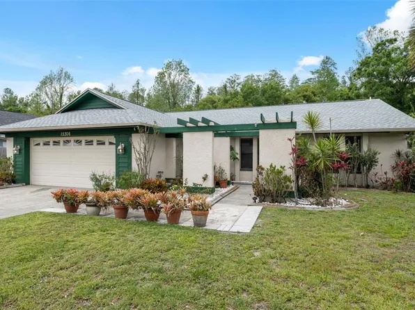 15306 Winterwind Dr, Tampa, FL 33624