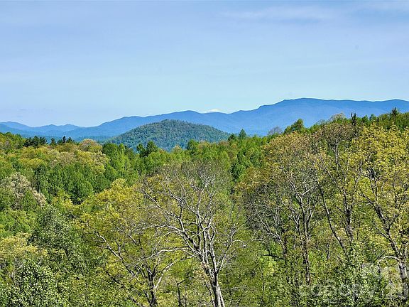 5th image of 551 Carvers Knob Rd