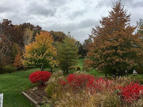 Autumn view from main deck