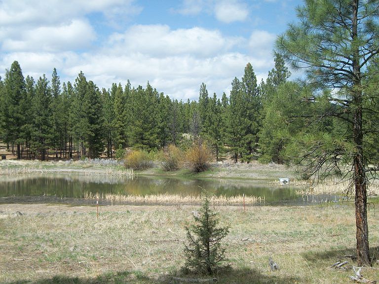 1st image of 93477 Dairy Creek Ln