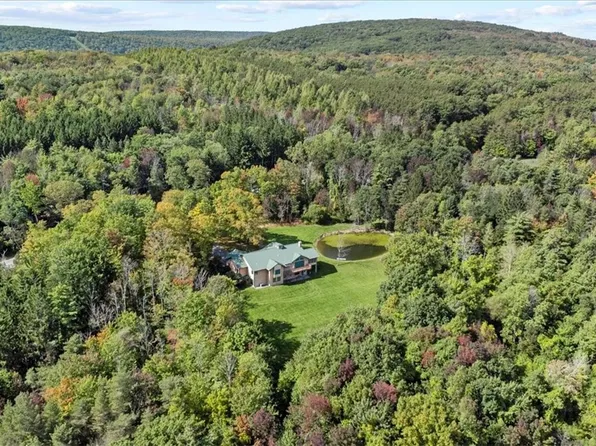 6861 S Gannett Hill Rd, Naples, NY 14512