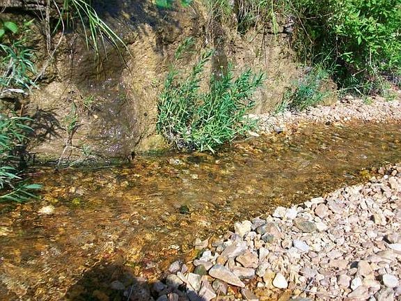 Local Spring