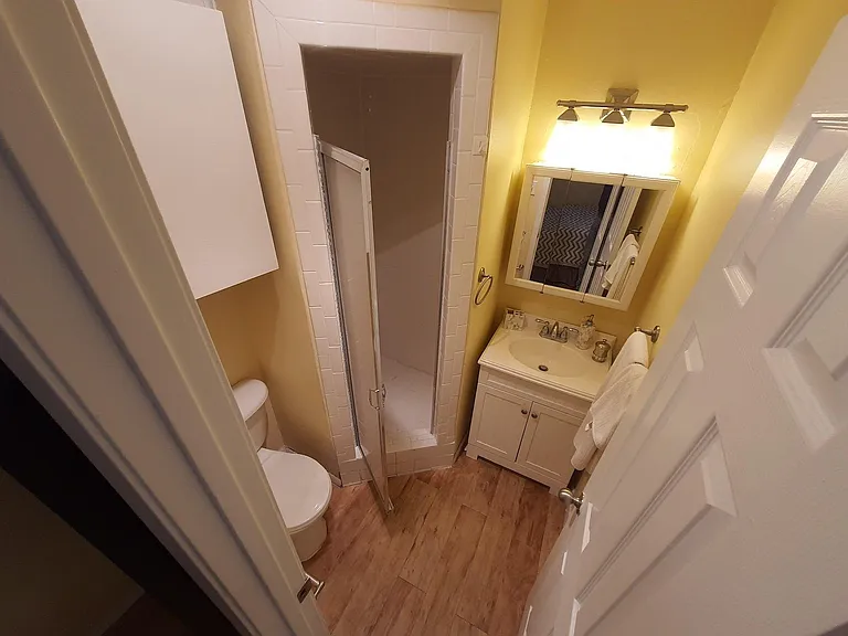 shower and toilet