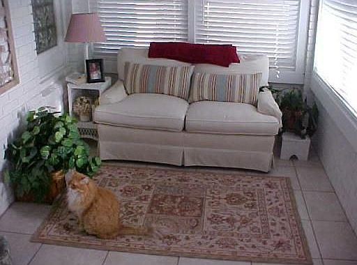 Enclosed Sun Porch