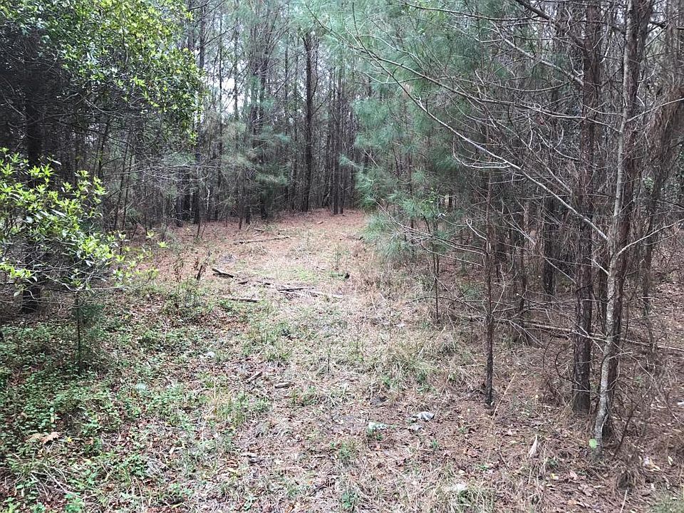 2nd image of River Rd