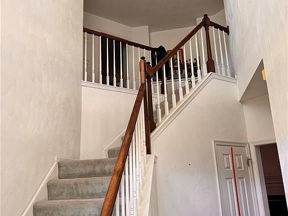 4th image of 4565 Lodgepole Dr