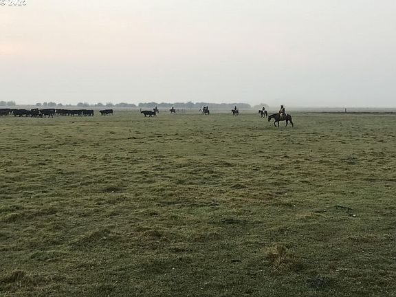 2nd image of 9800 Seven Mile Rd