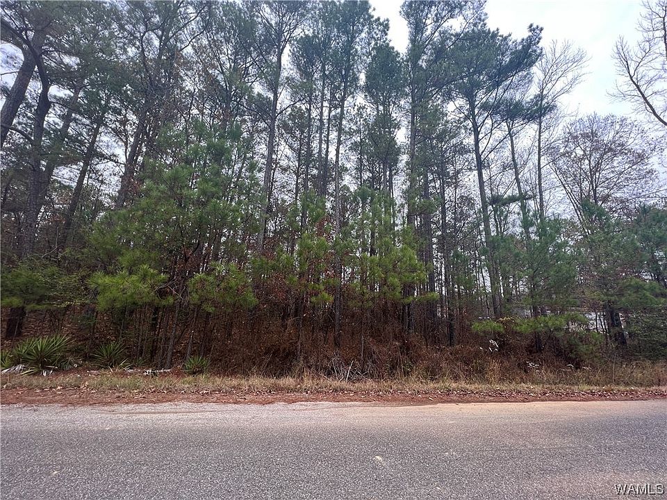 2nd image of 0 Christina Dr