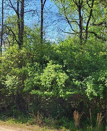 3rd image of 1642 R2 Kersey Valley Rd