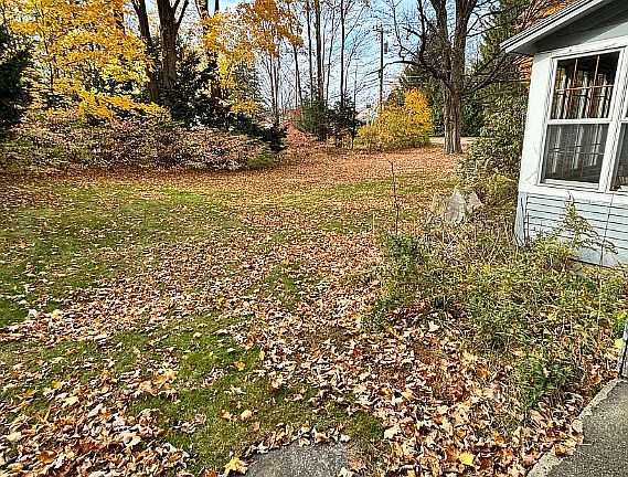 2nd image of 177 Montague Rd