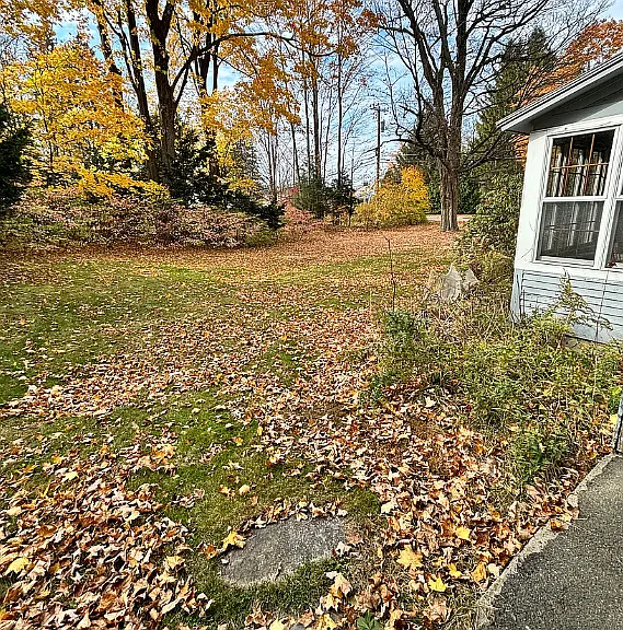 177 Montague Rd — Photo 9