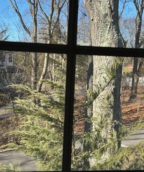 High Hedges Ct — Photo 18