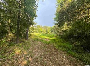 14160 Binkley Rd, Johnston City, IL 62951