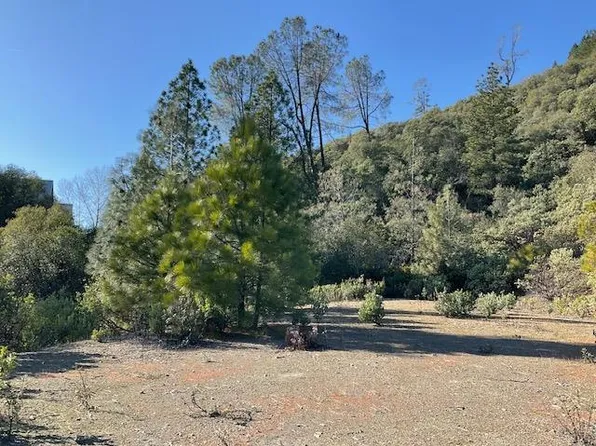 1445 Gallows, Arnold, CA 95223