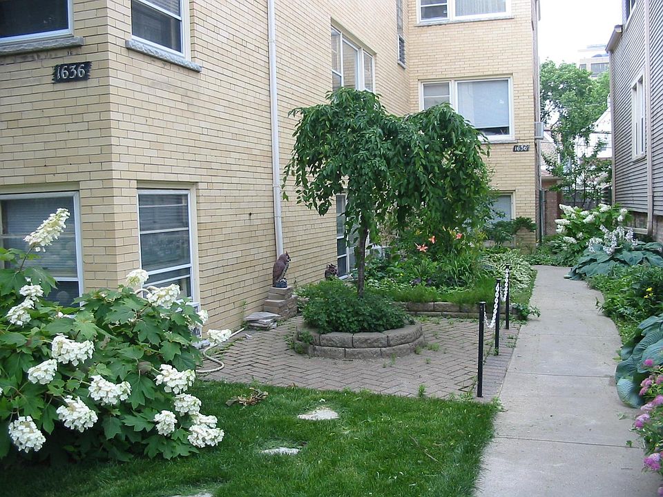 1st image of 1636 W Olive Ave
