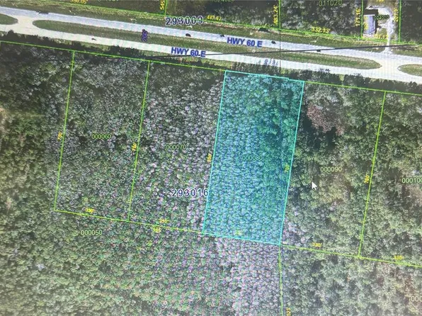 0 STATE ROAD 60 E LOT 8 LOT 8, LAKE WALES, FL 33898
