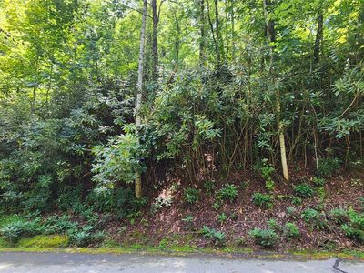 TBD Whisper Wind Court, Sapphire, NC, 28774
