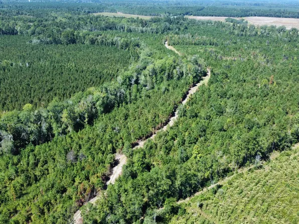 0 Beavers Pass Rd, Smoaks, SC 29481