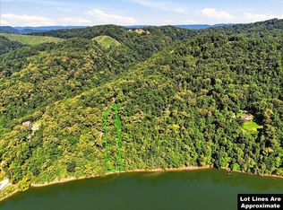 1007 Wilderness Dr, Mooresburg, TN 37811